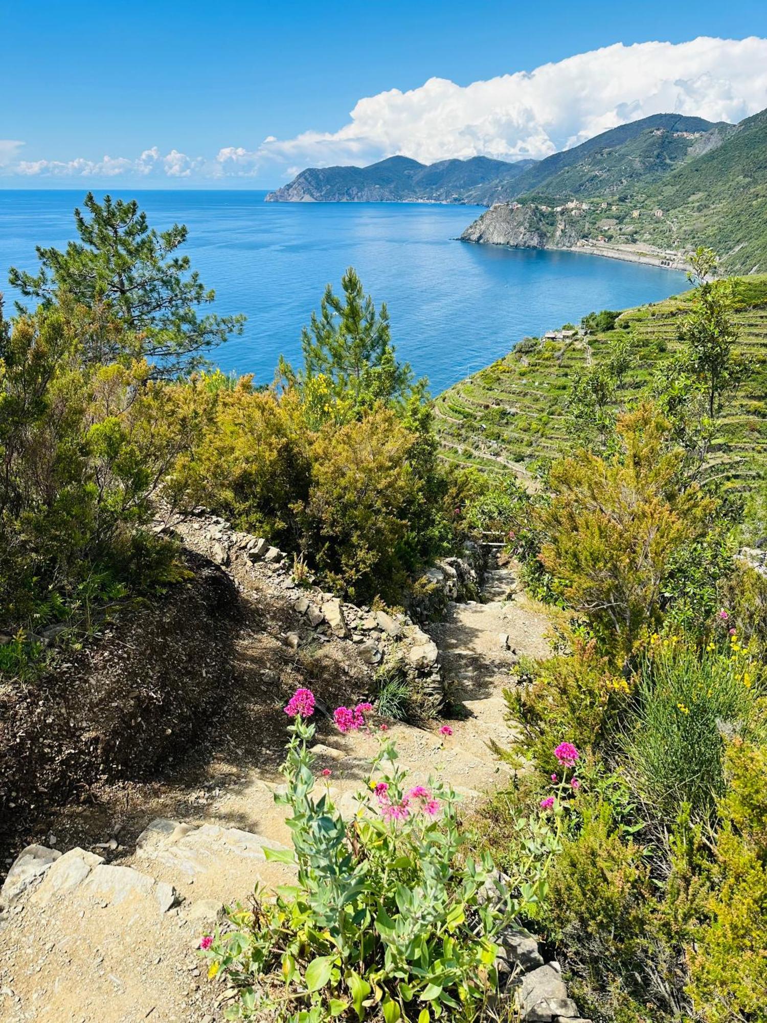 Al Castello 1 Hotel Riomaggiore Eksteriør billede